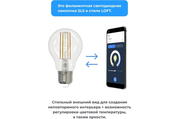 Купить SLS Лампа LED-09 LOFT E27 WiFi white-2.jpg
